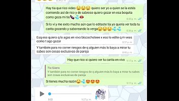 Conversación con mi tía con audios y videos